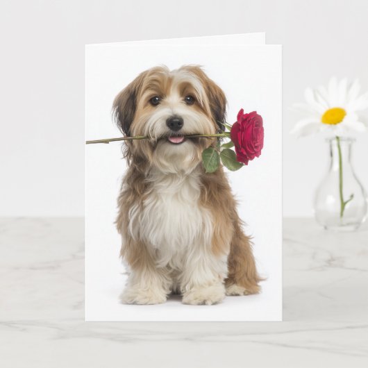 Carte Havanese Valentine – Gentle Love & Devotion (Petite plante)