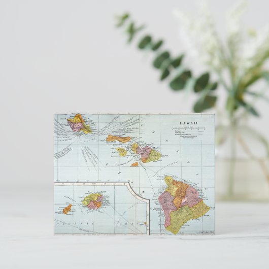 Carte : Hawaii, 1905 (Debout devant)