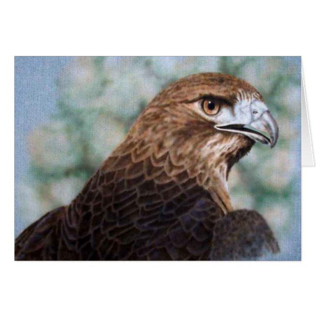 Carte Hawk à queue rouge (Devant horizontal)