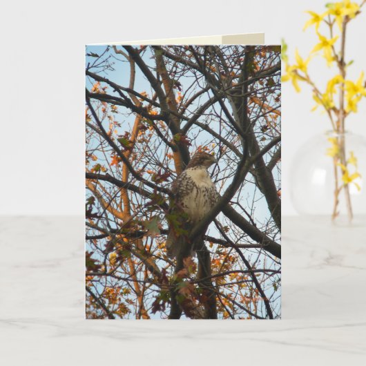 Carte Hawk Day (Fleur jaune)