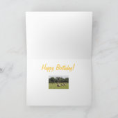 Carte Hay Bales (Intérieur)