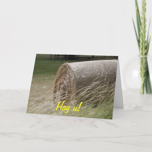 Carte Hay bales, Hay u ! (Devant)
