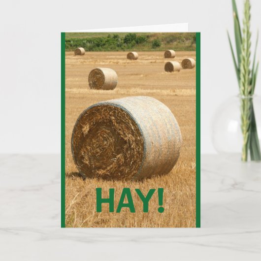 Carte HAY ! Joyeux Noël (Devant)
