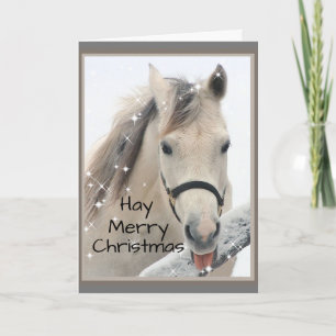 Carte Hay Joyeux Noël Cheval Ferme Humour animal