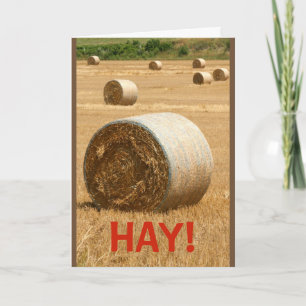 Carte HAY ! Seriez-vous mon Valentin ?