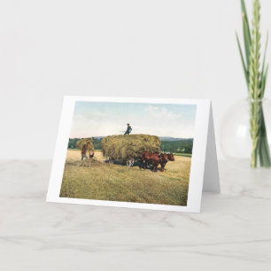 Carte Haying in New England - Vintage 1900