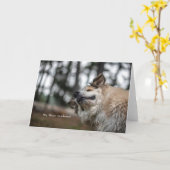 Carte Hé, c'est beau !carte (Fleur jaune)