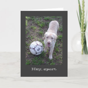 Carte Hé, sport. Chiot jaune de laboratoire toute la