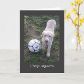 Carte Hé, Sport. Fête des pères de chiot du laboratoire (Fleur jaune)