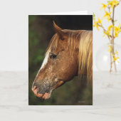 Carte Headshot 1 de cheval d'Appaloosa (Fleur jaune)