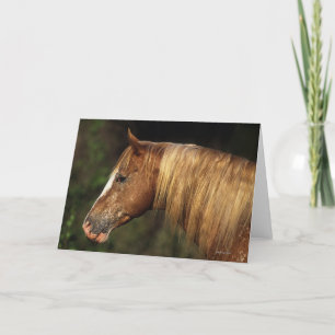 Carte Headshot 1 de cheval d'Appaloosa