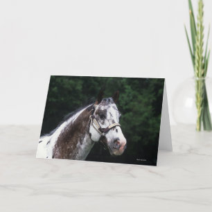 Carte Headshot 2 de cheval d'Appaloosa