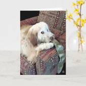 Carte heARTdog Whoodle de MALACHI (Fleur jaune)