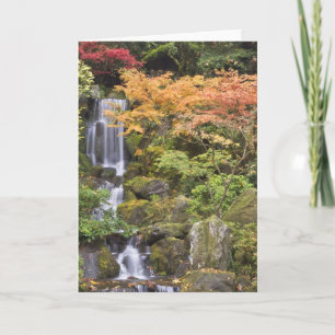 Carte Heavenly Falls and autumn colors