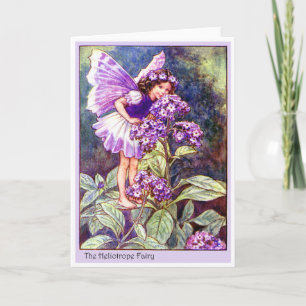 Carte Héliotrope Fairy