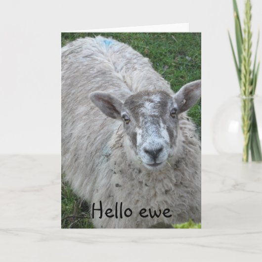 Carte Hello (Devant)