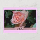 Carte Hello (Devant)