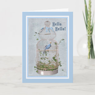 Carte Hello avec cage à oiseaux joyeuse