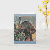Carte Hello chèvre - Blankd (Fleur jaune)