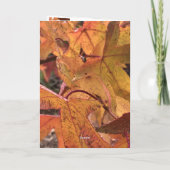 Carte "Hello Fall!" Greeting Card (Dos)