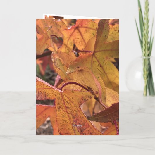 Carte "Hello Fall!" Greeting Card (Dos)