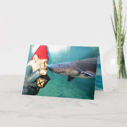 Carte Hello sir II (Devant)