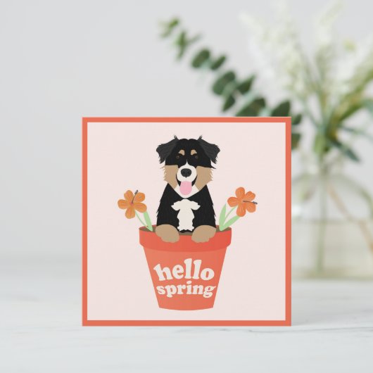 Carte Hello Spring Australian Shepherd Chien En Pot Fleu (Debout devant)