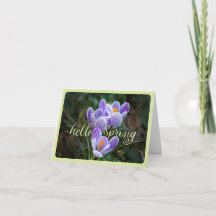 "Hello Spring" et Crocuses Plied Greeting Card