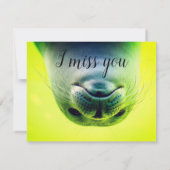 Carte Hello There Cutie (Dos)