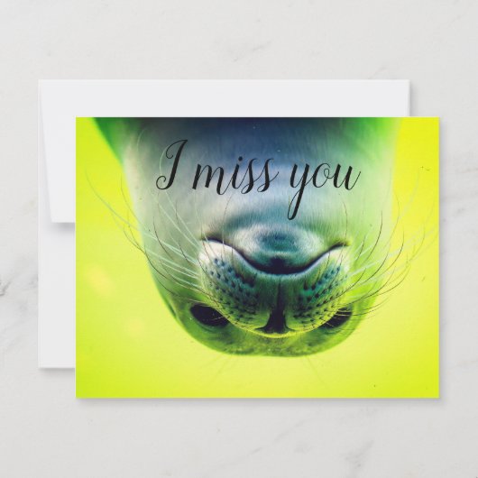 Carte Hello There Cutie (Dos)