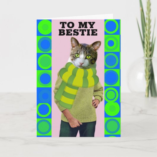 CARTE HELLO TO BEST FRIEND FUNNY CAT GREETING CARD (Devant)