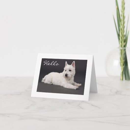 Carte Hello West Highland Terrier Blank Note Card (Devant)