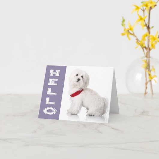 Carte Hello White Maltese Puppy Dog Blank Note Card (Fleur jaune)