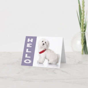 Carte Hello White Maltese Puppy Dog Blank Note Card