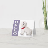 Carte Hello White Maltese Puppy Dog Blank Note Card (Devant)