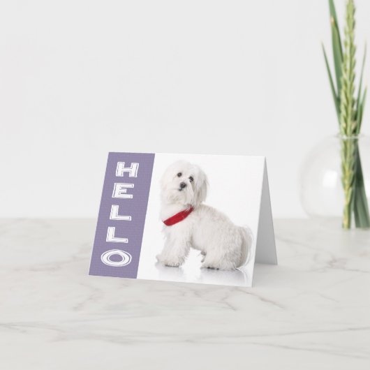 Carte Hello White Maltese Puppy Dog Blank Note Card (Devant)