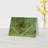 Carte Hen et pousses Plante avec texture (Fleur jaune)
