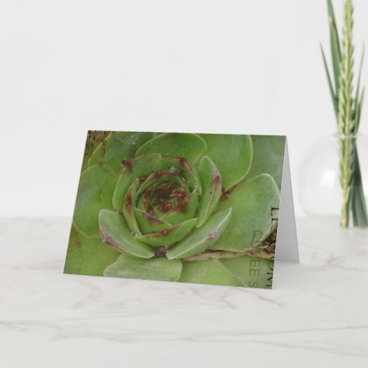 Carte Hen et pousses Plante avec texture (Devant)