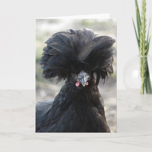 Carte Hen noir polonais (Devant)