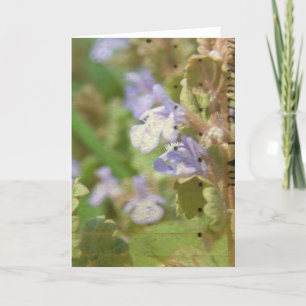 Carte Henbit