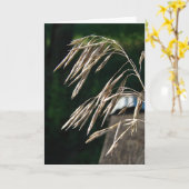 Carte Herbe Allée Aux Graines (Fleur jaune)