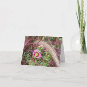 Carte Herbe d'automne ornementale et cosmos rose