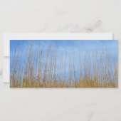 Carte Herbe de plage par Shirley Taylor (Dos)