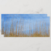 Carte Herbe de plage par Shirley Taylor (Devant / Derrière)