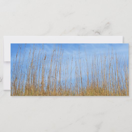 Carte Herbe de plage par Shirley Taylor (Devant)