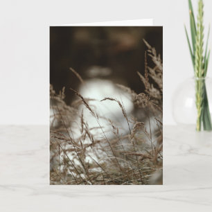 Carte Herbe sombre et lunatique dans le vent, Sympathie