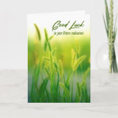 Carte Herbe verte d'été Bonne Chance (Devant)
