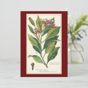 Carte Herbes et épices alimentaires vintage, plante de c