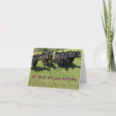 Carte "Herd" C'est ton anniversaire (Devant)