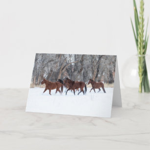 Carte Herd of Horses Running in Winters Snow